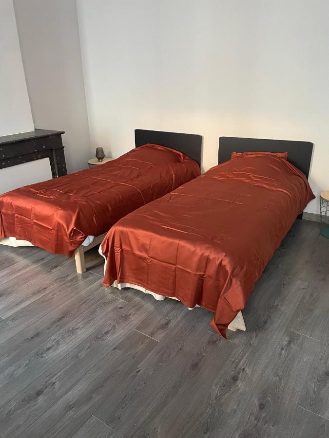 "Le Machao" - Cosy T3 - Centre Ville Macon Bagian luar foto
